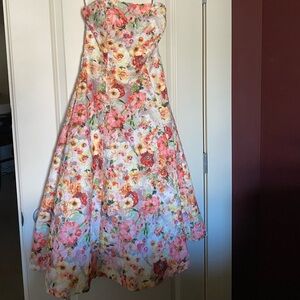 NWT Runway Ted Baker Senona Dress Size 4 Floral